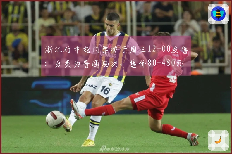 浙江对申花门票将于周三12-00发售：分类为普通场次，售价80-480元