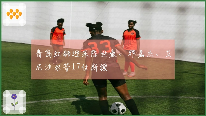 青岛红狮迎来陈世豪、邓嘉杰、艾尼沙尔等17位新援